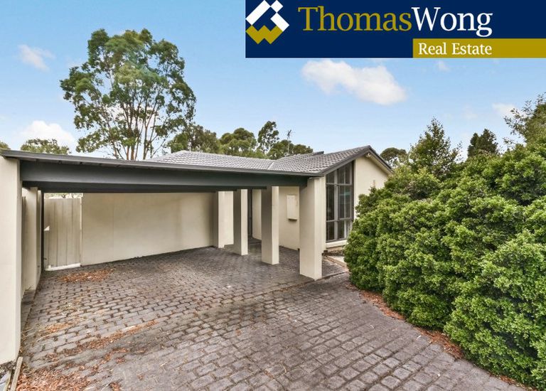 6 Mariposa Court, Wantirna South