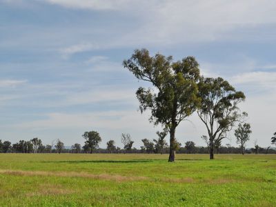 Wagga Wagga Road, Holbrook