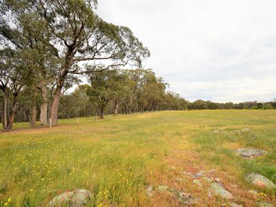 482 BEECHWORTH-CHILTERN ROAD, Beechworth