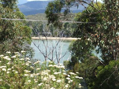 75 Williams Road, Randalls Bay