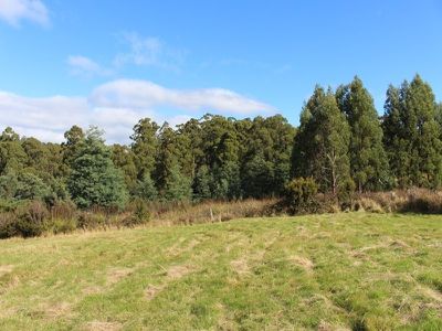 Lot 1 Narrows Road, Strathblane