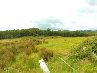 Braeside Road, Franklin