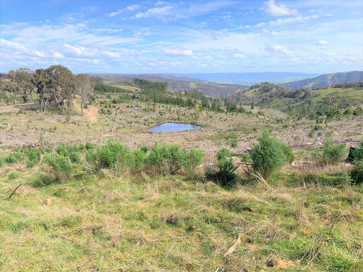 Lot 1, Maintongoon Road, Bonnie Doon