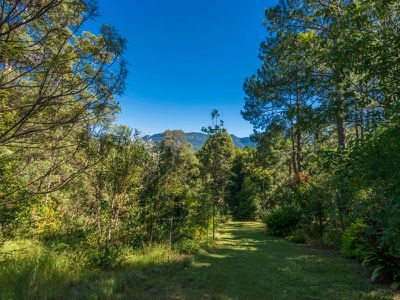3425 Kyogle Road, Mount Burrell