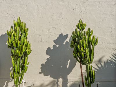 9 Holt Street, Kiama Downs