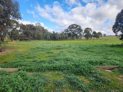 30 Popples Lane, Hilldene