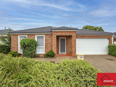 77 Christina Stead Street, Franklin
