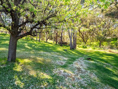1188 Padman Drive, West Albury