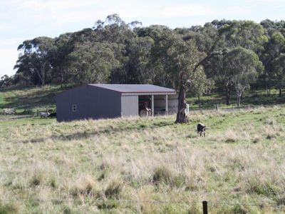 Meadow Flat