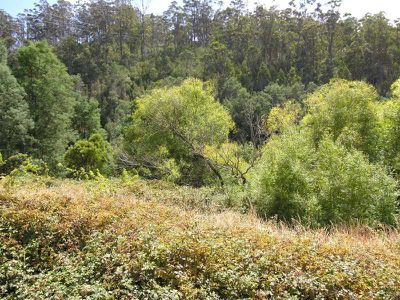 Lot 3 New Road, Franklin