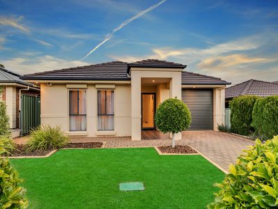 2 Theile Court, Walkley Heights