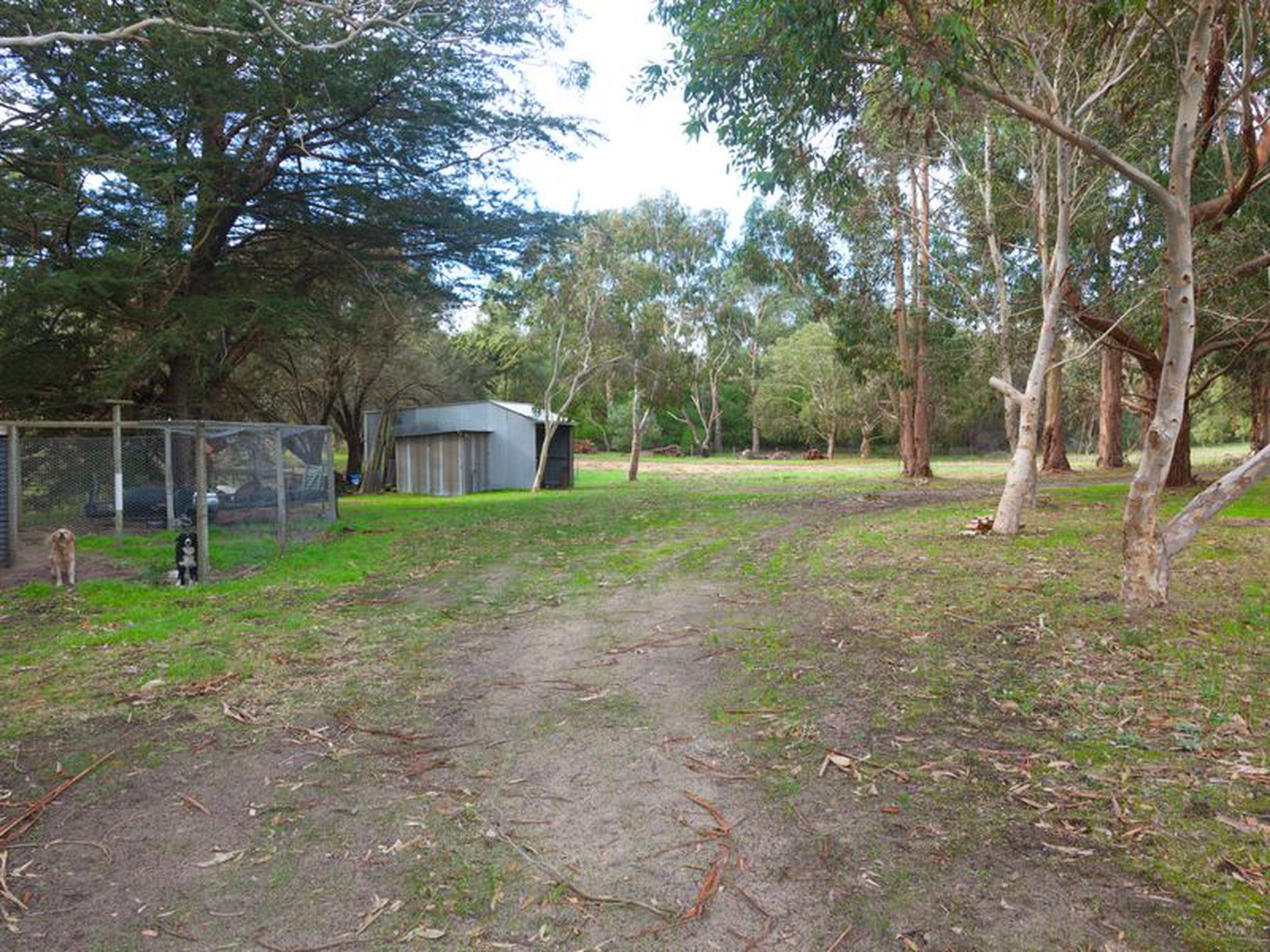 36 Hakea Drive, Millicent