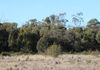 Back Trundle Road, Parkes