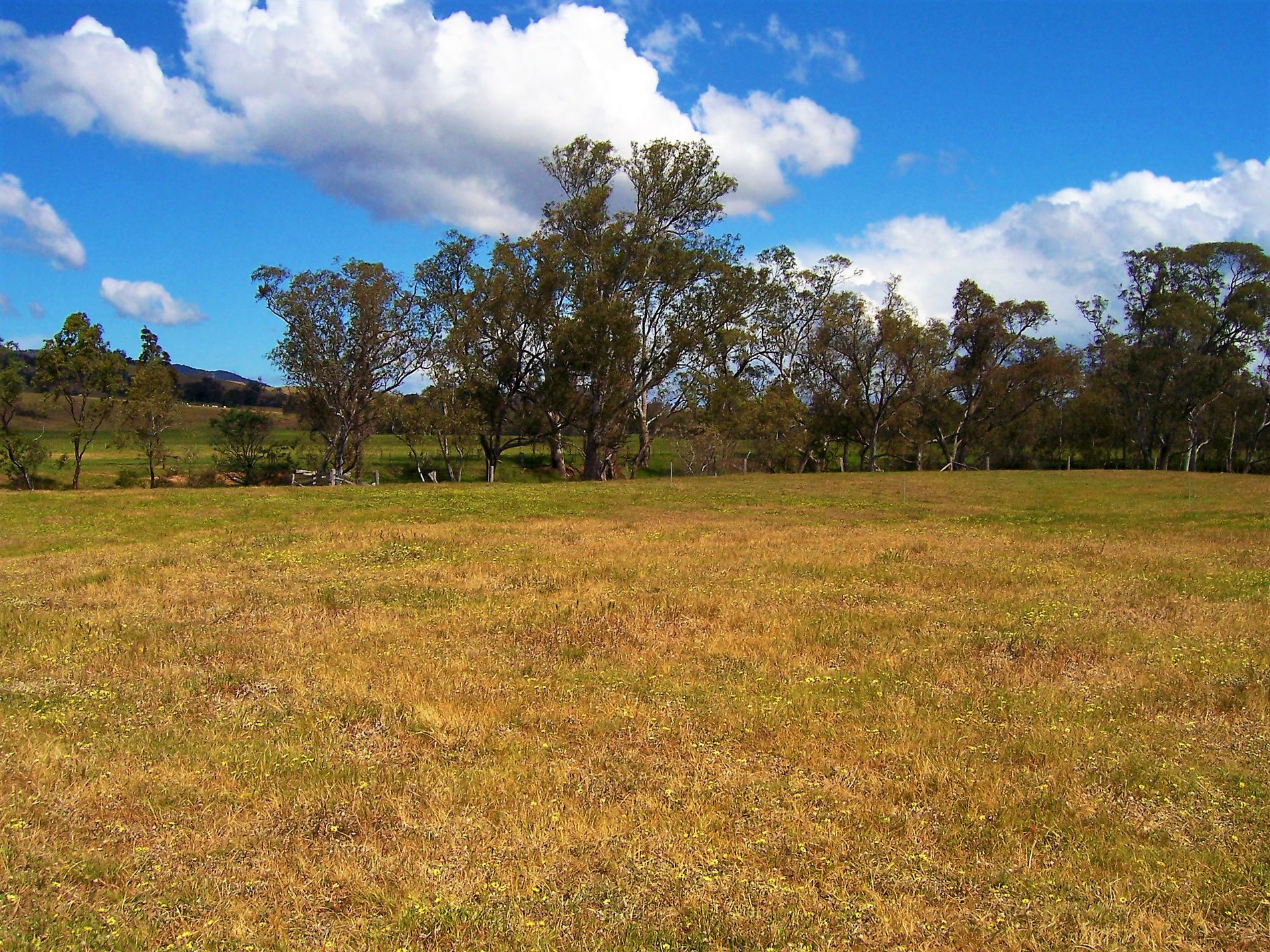 125 MAIN ROAD, Tallarook