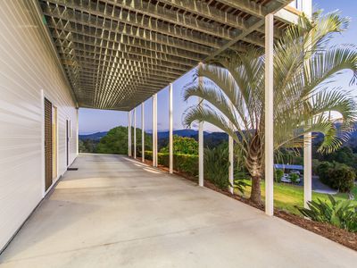 142 Birds Road, Guanaba