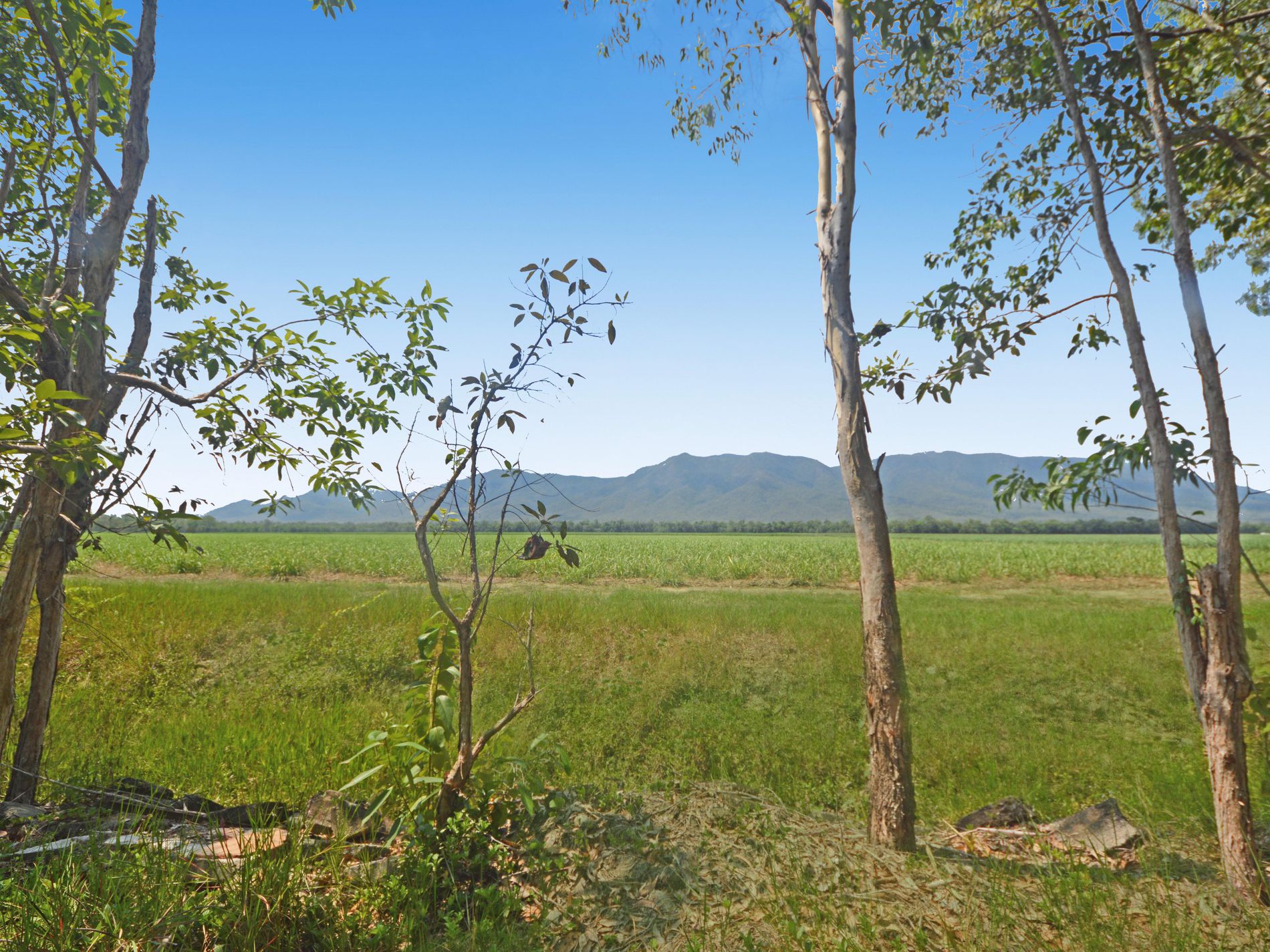 689 Ellerbeck Road, Kennedy