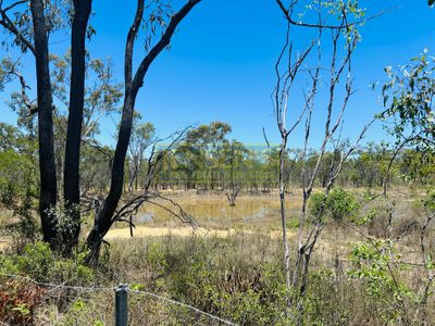 193 Woodchopper Road, Broughton