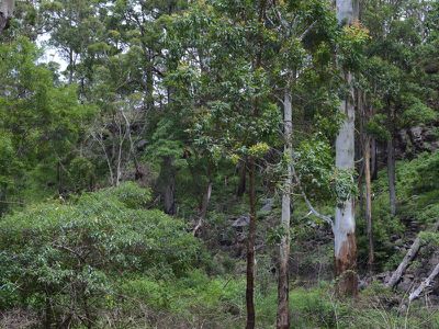 L179 Kilcoy Lane, Conondale