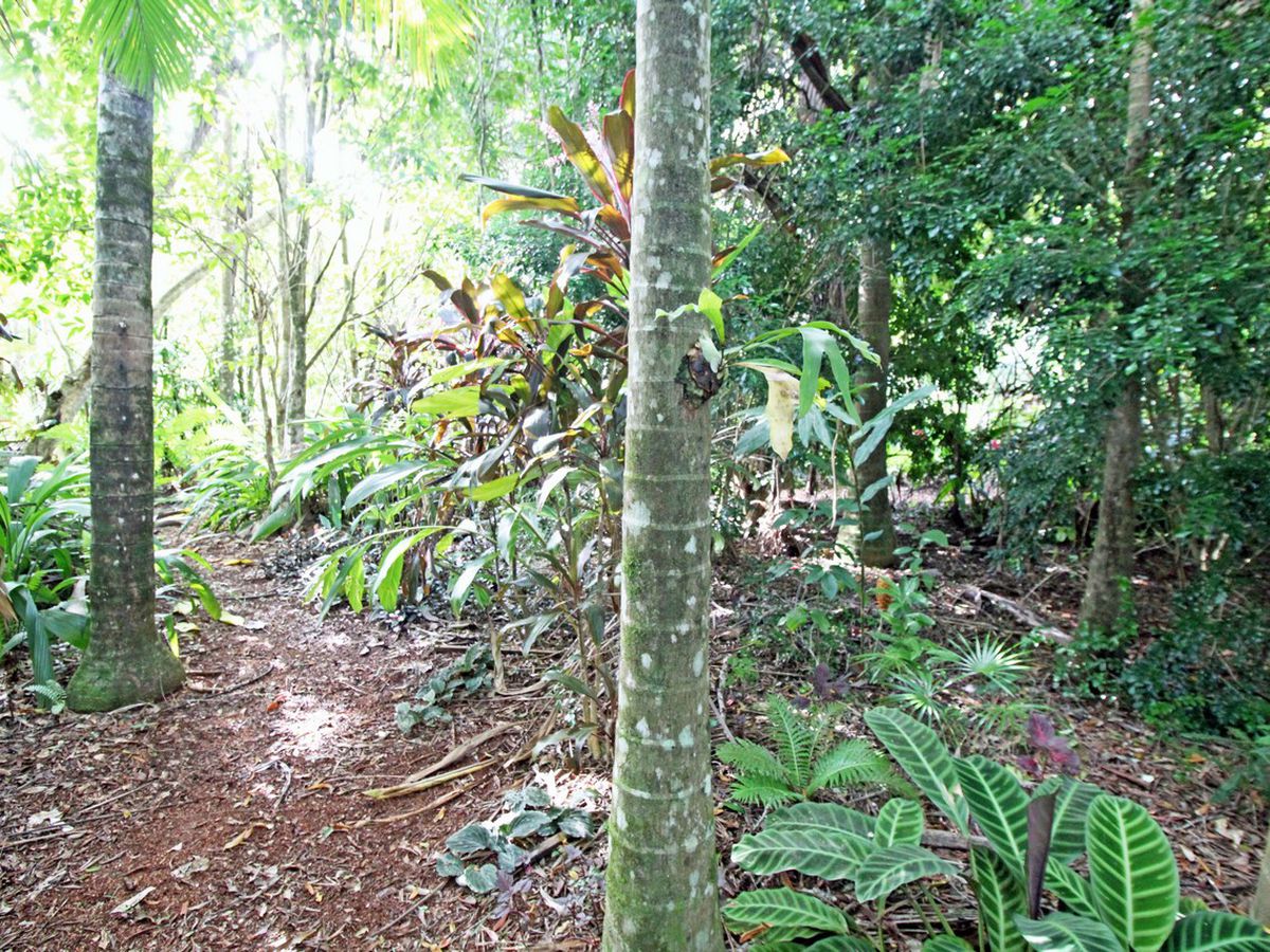 Lake Eacham