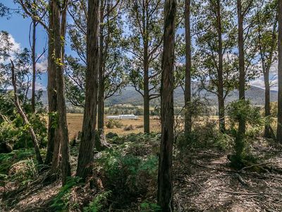 767 Lonnavale Road, Lonnavale