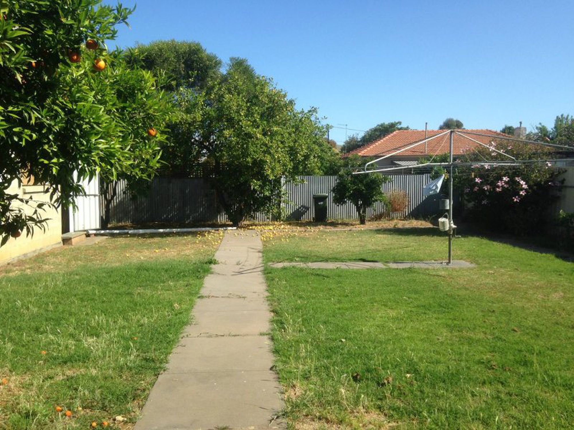 12 Basnett Street, Kurralta Park