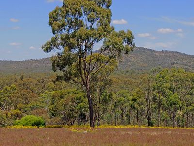 999 Burkes Flat - McIntyre Road, Mcintyre
