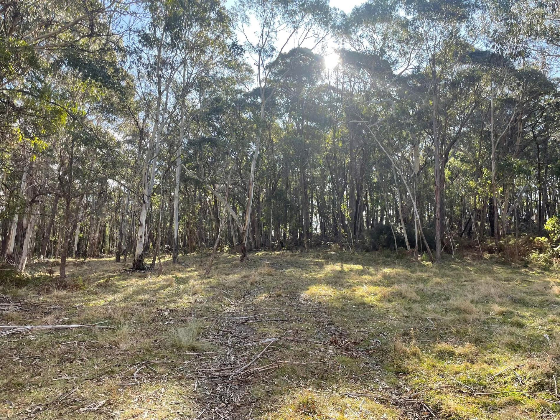 681 Hereford Hall Road, Hereford Hall via, Braidwood