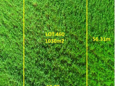 Lot 460, St Bernards Road, Magill