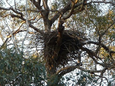 370 Quarry- Dookie Road, Dookie