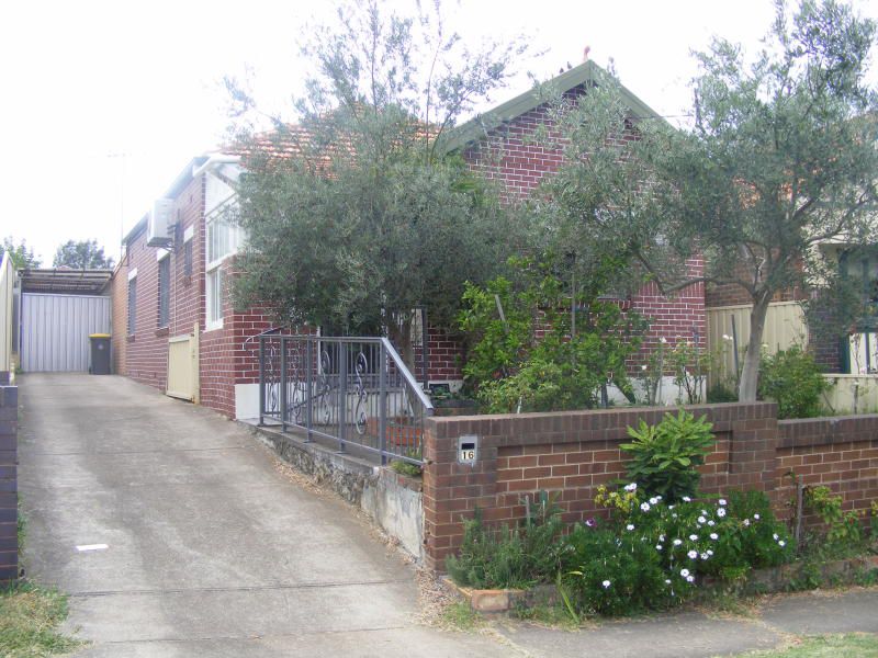 16 Viking Street, Campsie