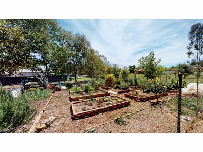 6 Araluen Way, Dubbo