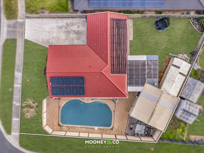 12 Terrence Drive, Cranbourne North