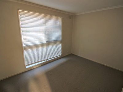 2 / 1 Holyrood Avenue, Newtown