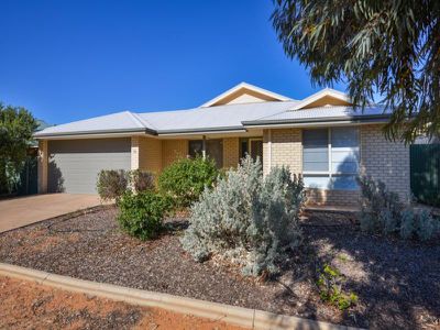 31 Paddington Drive, Hannans