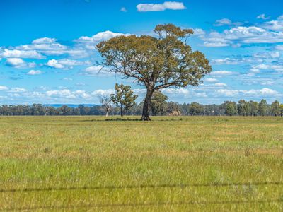 CA1, Section W Taylors Bridge Road, Norong