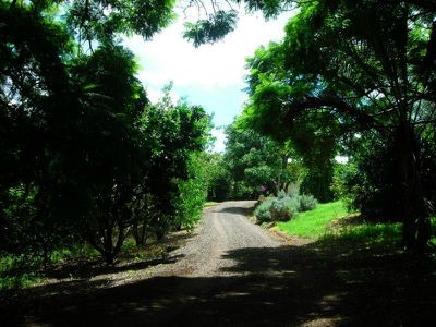 410 Flaxton Drive, Flaxton