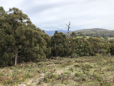 Lot 1, Lightwood Creek Road, Glen Huon