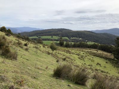 Lot 1, Lightwood Creek Road, Glen Huon