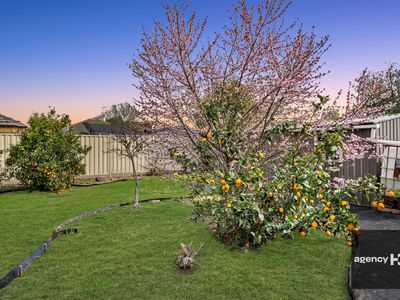 365 McGrath Road Service Road, Wyndham Vale