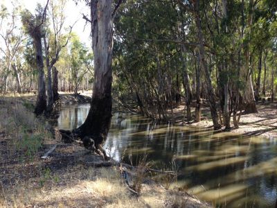 Cobb Highway, Deniliquin