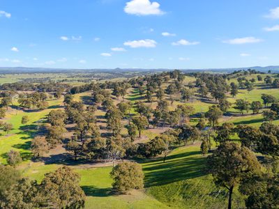 95 Daisyburn Road , Hilldene