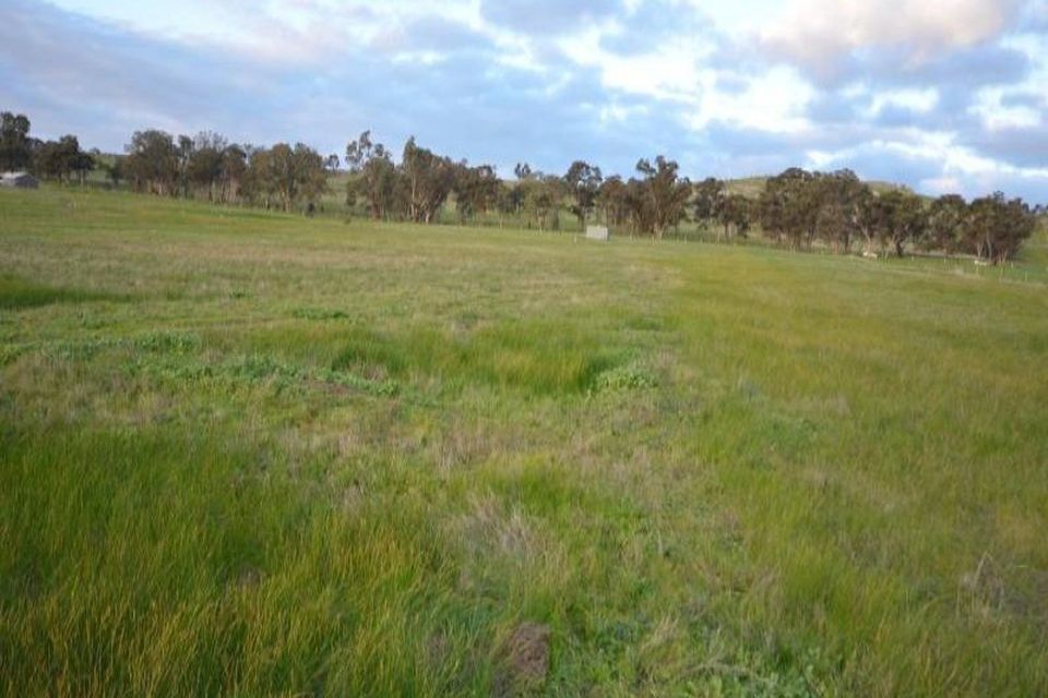 Lot 7 Hamilton Way, Lockwood South PH Property