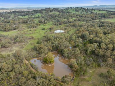 110 Daisyburn Road, Hilldene