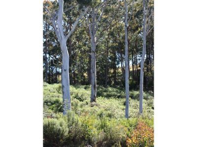 Lot 3 Doodys Hill Road, Port Huon