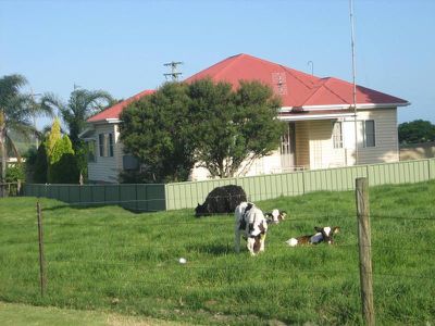 1338 Jamberoo Rd, Jamberoo