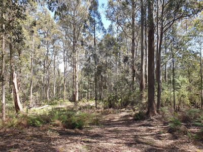 Lot 1 (99 Acres), Coal Mine Road, Kaoota
