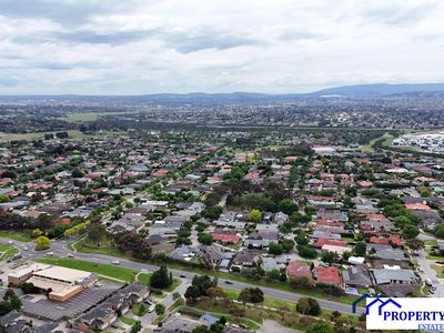 13 Treetop Court, Narre Warren South
