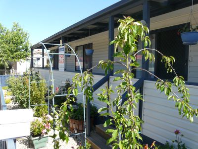 Tocumwal