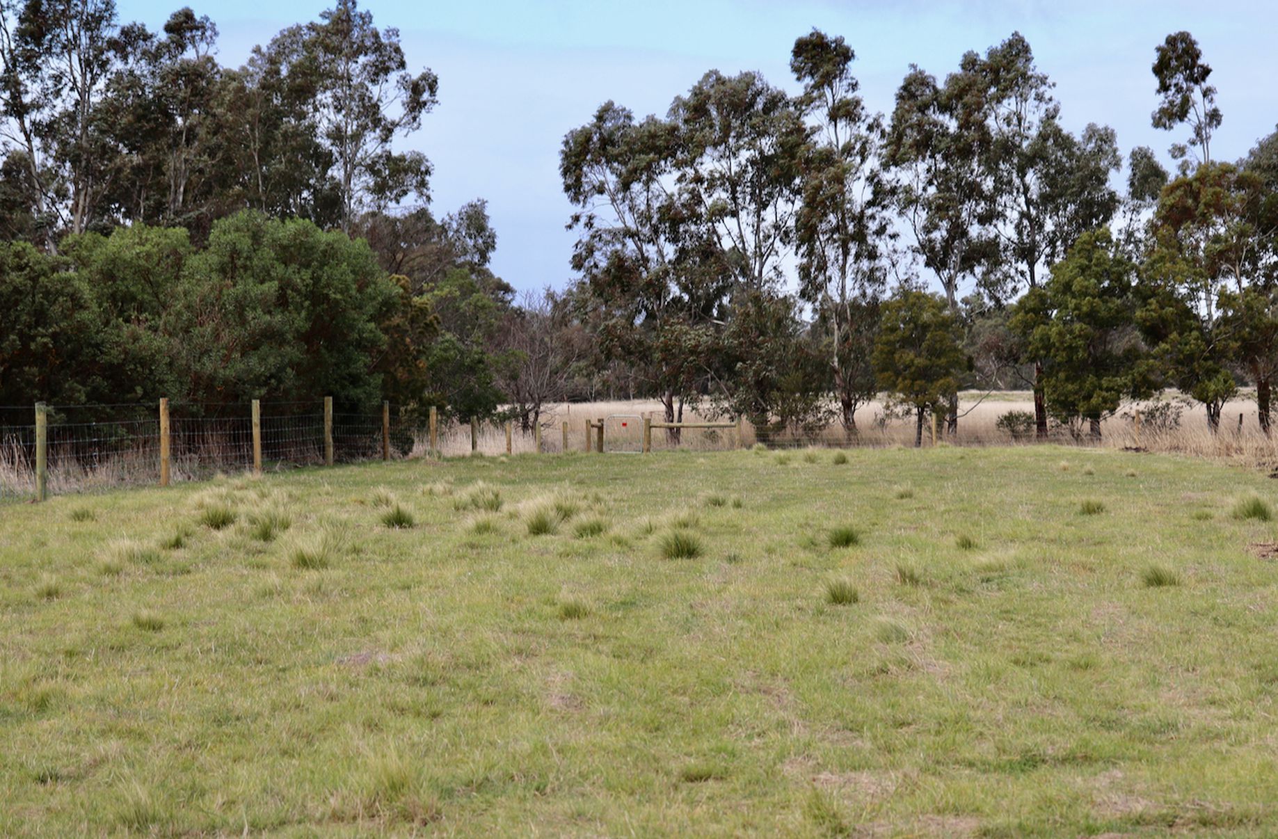 Lot 1-5, Section 19, 82 Park Street, Inverleigh