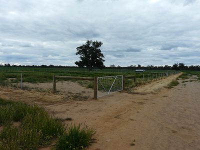 "Marabou" & "Belmont"  Taylors Road , Tocumwal